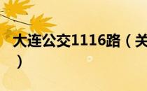 大连公交1116路（关于大连公交1116路简介）