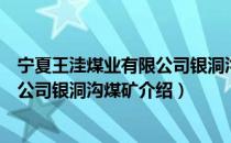 宁夏王洼煤业有限公司银洞沟煤矿（关于宁夏王洼煤业有限公司银洞沟煤矿介绍）