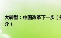 大转型：中国改革下一步（关于大转型：中国改革下一步简介）