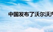 中国发布了沃尔沃汽车的高级跨界跑车