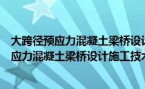 大跨径预应力混凝土梁桥设计施工技术指南（关于大跨径预应力混凝土梁桥设计施工技术指南简介）