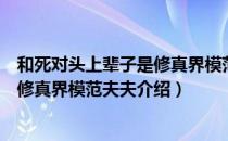 和死对头上辈子是修真界模范夫夫（关于和死对头上辈子是修真界模范夫夫介绍）