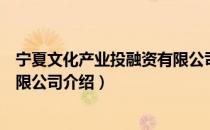 宁夏文化产业投融资有限公司（关于宁夏文化产业投融资有限公司介绍）