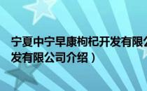 宁夏中宁早康枸杞开发有限公司（关于宁夏中宁早康枸杞开发有限公司介绍）