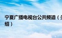 宁夏广播电视台公共频道（关于宁夏广播电视台公共频道介绍）