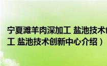 宁夏滩羊肉深加工 盐池技术创新中心（关于宁夏滩羊肉深加工 盐池技术创新中心介绍）