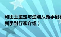 和田玉鉴定与选购从新手到行家（关于和田玉鉴定与选购从新手到行家介绍）