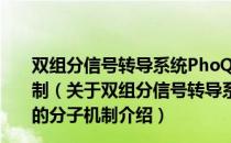 双组分信号转导系统PhoQ/PhoP调控志贺菌毒力的分子机制（关于双组分信号转导系统PhoQ/PhoP调控志贺菌毒力的分子机制介绍）