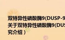 双特异性磷酸酶9(DUSP-9)在肾细胞癌发生中的机制研究（关于双特异性磷酸酶9(DUSP-9)在肾细胞癌发生中的机制研究介绍）