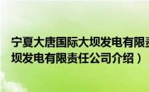 宁夏大唐国际大坝发电有限责任公司（关于宁夏大唐国际大坝发电有限责任公司介绍）