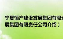 宁夏恒产建设发展集团有限责任公司（关于宁夏恒产建设发展集团有限责任公司介绍）