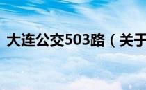 大连公交503路（关于大连公交503路简介）