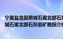 宁夏盐池县萌城石梁北部石灰岩矿勘探（关于宁夏盐池县萌城石梁北部石灰岩矿勘探介绍）