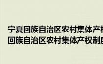 宁夏回族自治区农村集体产权制度改革试点方案（关于宁夏回族自治区农村集体产权制度改革试点方案介绍）