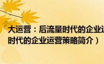 大运营：后流量时代的企业运营策略（关于大运营：后流量时代的企业运营策略简介）