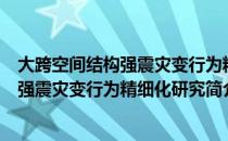 大跨空间结构强震灾变行为精细化研究（关于大跨空间结构强震灾变行为精细化研究简介）