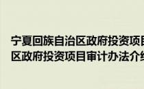 宁夏回族自治区政府投资项目审计办法（关于宁夏回族自治区政府投资项目审计办法介绍）