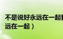 不是说好永远在一起我只能守候（不是说好永远在一起）