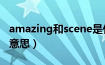 amazing和scene是什么意思（scene是什么意思）