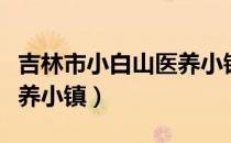 吉林市小白山医养小镇（关于吉林市小白山医养小镇）