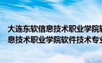 大连东软信息技术职业学院软件技术专业（关于大连东软信息技术职业学院软件技术专业简介）