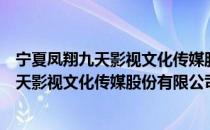 宁夏凤翔九天影视文化传媒股份有限公司（关于宁夏凤翔九天影视文化传媒股份有限公司介绍）