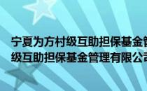 宁夏为方村级互助担保基金管理有限公司（关于宁夏为方村级互助担保基金管理有限公司介绍）