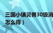 三国小镇灵兽30级消失（4399三国小镇灵兽怎么得）