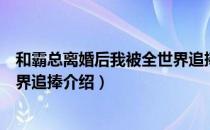 和霸总离婚后我被全世界追捧（关于和霸总离婚后我被全世界追捧介绍）