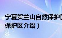 宁夏贺兰山自然保护区（关于宁夏贺兰山自然保护区介绍）