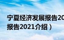 宁夏经济发展报告2021（关于宁夏经济发展报告2021介绍）