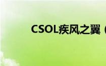 CSOL疾风之翼（csol疾风之翼）