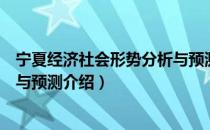 宁夏经济社会形势分析与预测（关于宁夏经济社会形势分析与预测介绍）