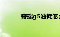 奇瑞g5油耗怎么样（奇瑞g5）