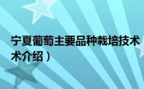 宁夏葡萄主要品种栽培技术（关于宁夏葡萄主要品种栽培技术介绍）