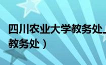 四川农业大学教务处上班时间（四川农业大学教务处）