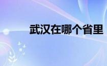 武汉在哪个省里（武汉在哪个省）