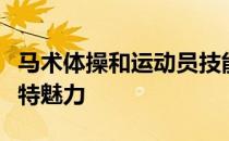 马术体操和运动员技能相融合的运动项目的独特魅力