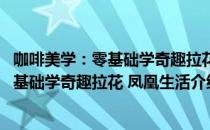 咖啡美学：零基础学奇趣拉花 凤凰生活（关于咖啡美学：零基础学奇趣拉花 凤凰生活介绍）