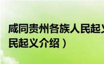 咸同贵州各族人民起义（关于咸同贵州各族人民起义介绍）