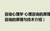 咨询心理学 心理咨询的原理与技术（关于咨询心理学 心理咨询的原理与技术介绍）