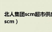 北人集团scm超市供应链系统登录（北人集团scm）