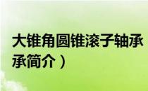 大锥角圆锥滚子轴承（关于大锥角圆锥滚子轴承简介）