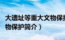 大遗址等重大文物保护（关于大遗址等重大文物保护简介）