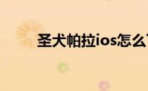 圣犬帕拉ios怎么下载（圣犬帕拉）