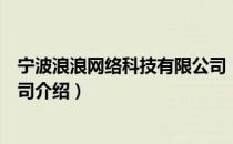 宁波浪浪网络科技有限公司（关于宁波浪浪网络科技有限公司介绍）