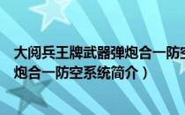 大阅兵王牌武器弹炮合一防空系统（关于大阅兵王牌武器弹炮合一防空系统简介）