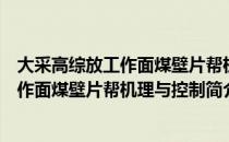 大采高综放工作面煤壁片帮机理与控制（关于大采高综放工作面煤壁片帮机理与控制简介）