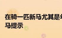 在骑一匹新马尤其是年轻马时都应尽量轻地给马提示