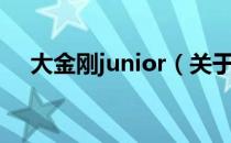 大金刚junior（关于大金刚junior简介）